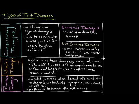 Types of Tort Damages