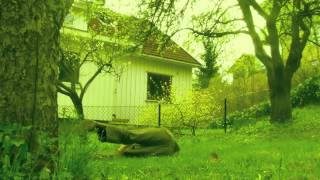 preview picture of video 'Kåre K trio - Sitter i trær'