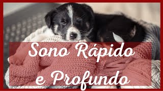 Msica Para ACALMAR/RELAXAR Seu Cachorro SONO RPIDO e PROFUNDO - Com Sons de Pssaros