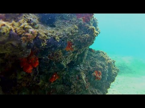 Fanari - Aegaean Sea, Northern Greece