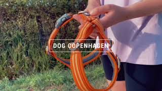 How to: French dog owner demonstrates how to put on and adjust our Comfort Walk AIR harness