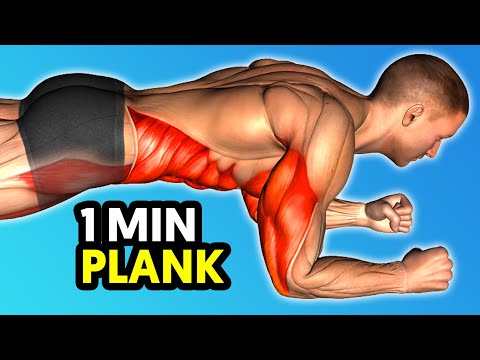 I Did A 1 Minute Plank Every Morning And This Happened To My Body