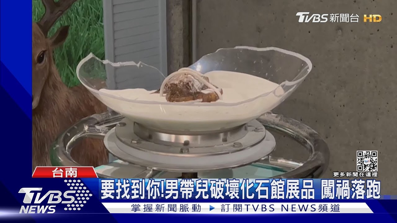 我會找到你！男帶兒破壞化石館裝置　搖爆球體一家落跑
