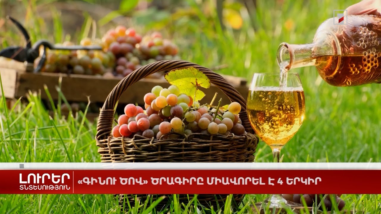 «Գինու ծով» ծրագիրը միավորել է 4 երկիր