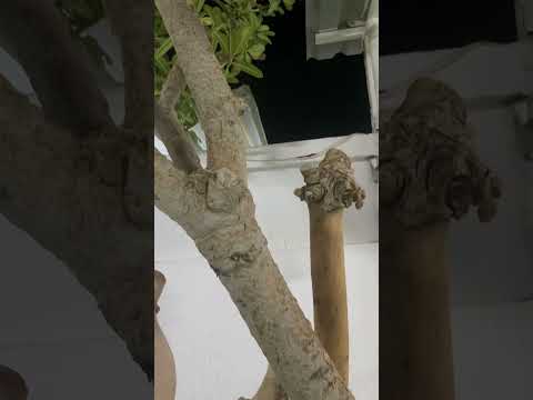 🥳🥳🥳🥳🤩🤩🤩🤩