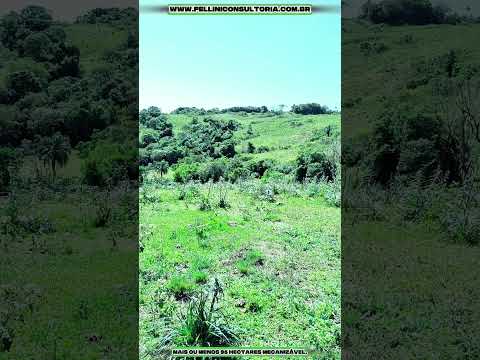 VENDO 120 HECTARES DE CAMPO NA REGIÃO DE ENCRUZILHADA DO SUL RS.