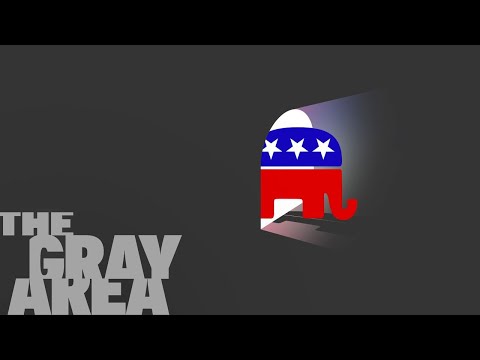 右翼エコノミストの主張｜グレーゾーン (A right wing economist makes his case | The Gray Area)