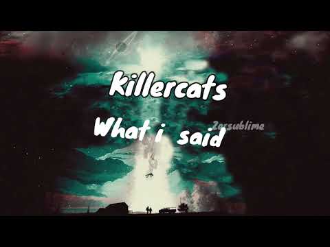 Killercats - What I Said (feat. Alex Skrindo) [NCS Release] sub español/ lyrics
