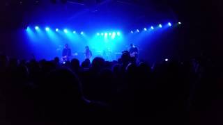 Finch &quot;Ink&quot;