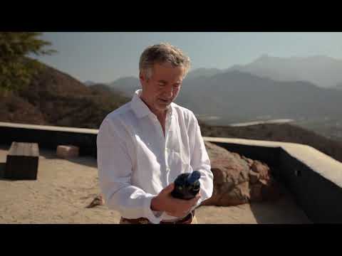 ROCAS de SENA 2021 - Cupaj Chilian in Stil Bordeaux video