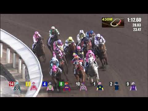 25/6/2022 (777) So We Joy - Vincent Ho