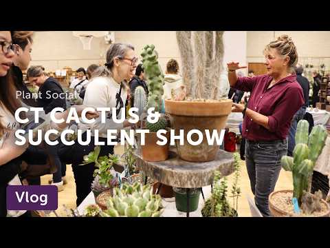 Connecticut CACTUS & SUCCULENT Show — Vlog 062