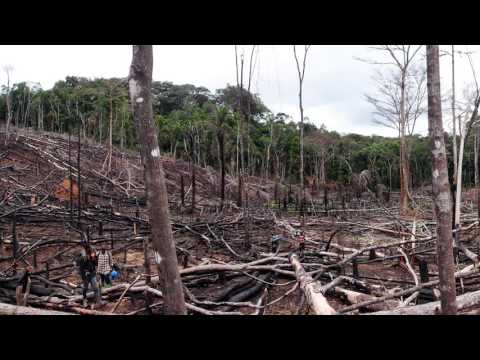 Literature review on population growth image