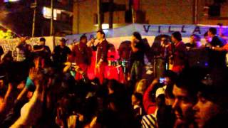 Los lamas en dominico