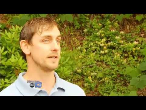 Rash Of Canine Distemper In Haywood County