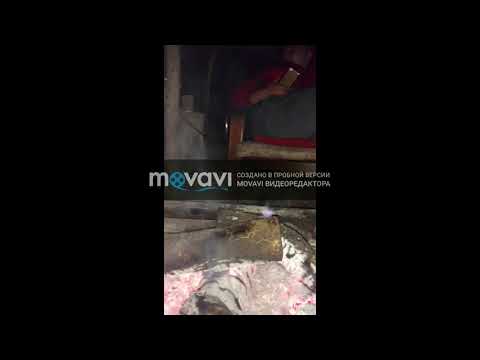 Новый проект 59