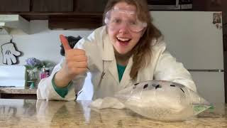 Exploding Snowman Experiment
