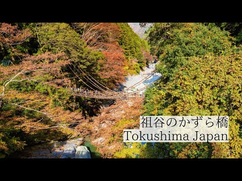 秋の気配を感じる渓谷の風景/祖谷のかずら橋 Iya-no-Kazurabashi /Valley Scenery Reflecting the Signs of Autumn
