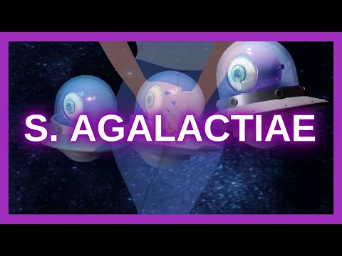 Streptococcus Agalactiae (Mnemonic for the USMLE)
