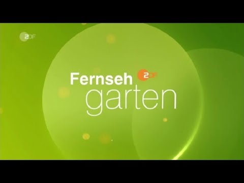 ZDF Fernsehgarten 28.07.2019 - Gewitterzeitraumausschnitte
