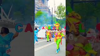 Fun at Rotterdam Summer Carnival #carnaval #shorsviral