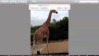 How To Change The File Size Of A Photo On A Mac - Tutorial