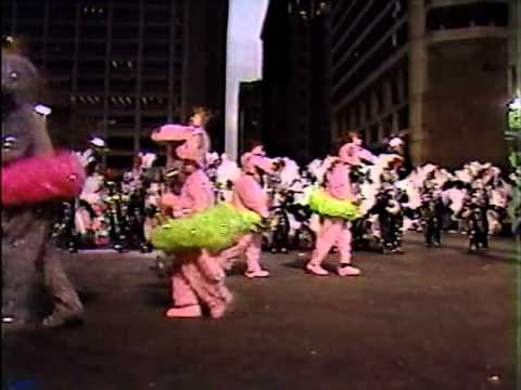 1987 Broomall String Band - The Zoo Revue