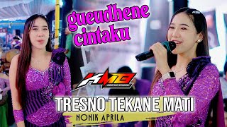 Download lagu Nonik Aprilia - Tresno Tekane Mati - KMB Gedruk  | AMpro audio ( Gueedhene Cintaku Luar Biasah ) mp3