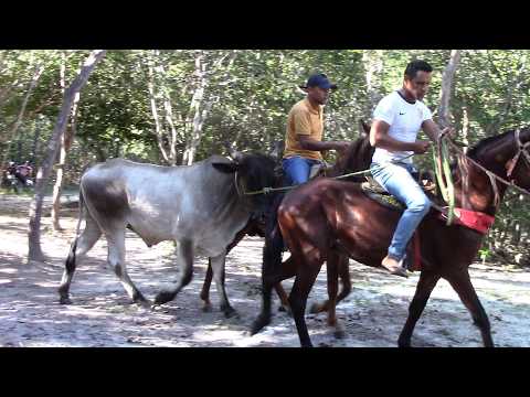 9ª Carreira do Filipina com os Vaqueiros do Zezinho, Passa Tempo Coivaras-PI#boinamoita