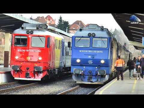 Trenuri & Activitate Feroviară 🚂🚆🚅 Trains & Rail Activity in Gara Oradea Station - 27 February 2024