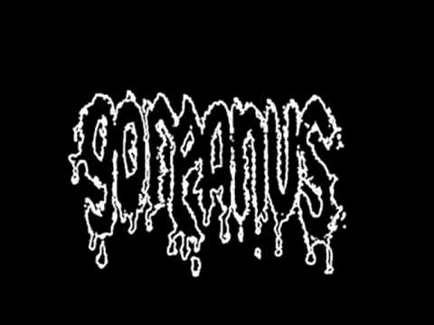 Goreanus - Amputation of Uterus by Means of Plunger