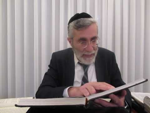 הרב יהושע ביבי - תשפ"ו - פסח - שיעור מס' 048 - היכלות ערבית דלי''פ בשי' עה''נ והפת''ע