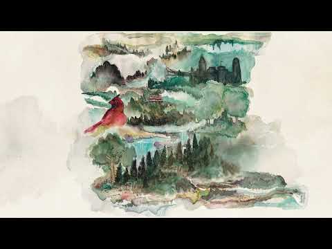Cincinnati Heart - Nolan Taylor