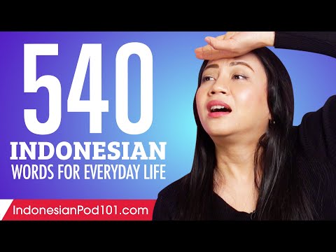 540 Indonesian Words for Everyday Life - Basic Vocabulary #27