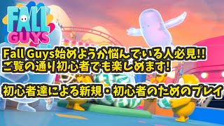 無料化した#fallguys 始めようか悩んでいる人必見!!ご覧の通り初心者でも楽しめます!🔰【初心者による新規・初心者のためのプレイ】※Twitch配信アーカイブ