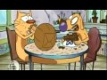 Catdog Dog Gone Backwards