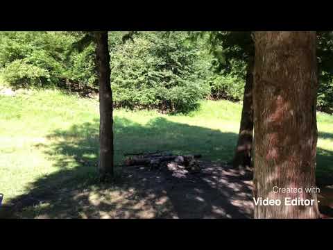 Poiană la pârâul Doamnei, Piatra-Neamț