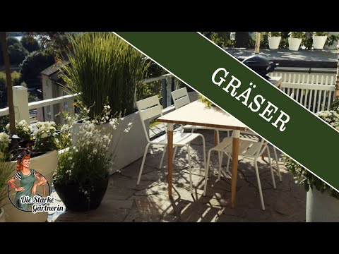 Trogbepflanzung mit Gräsern