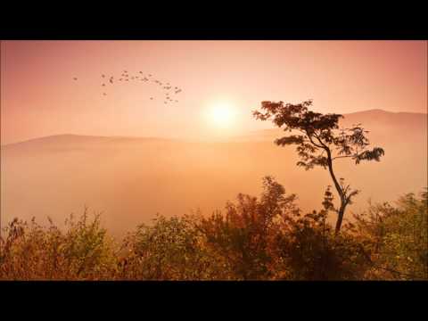 Alfoa - Savana (Hypnotic Duo & Mode MT Remix)