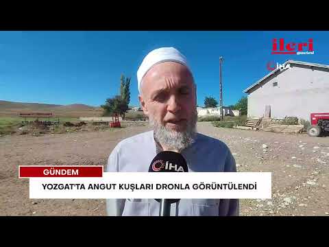 Yozgat'ta angut kuşları dronla görüntülendi | İleri Gazetesi