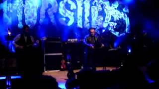 Maeve's Court - Charolais - Belfast 1.12.10