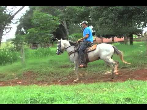 Lote 42 (Dom Carrasco)