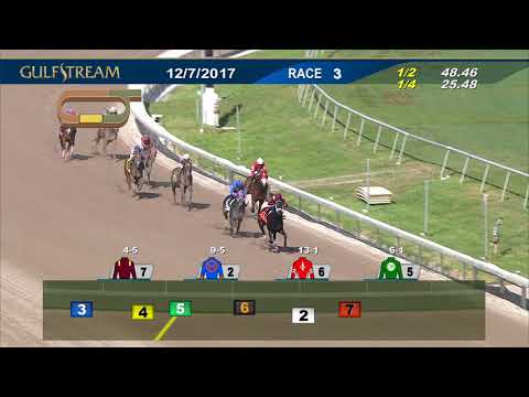 Gulfstream Park Race 3 | December 7, 2017