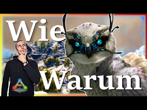 ARK Taming Guide | Snow Owl zähmen & Ihre Fähigkeiten mit Humor