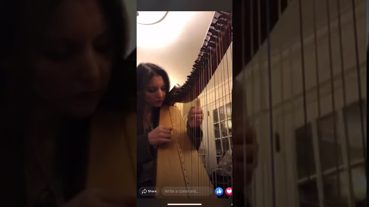 Promotional video thumbnail 2 for Morningside Music, Harpist Sohayla Smith
