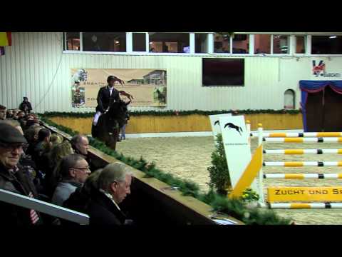 Cador *2005 by Catoki - Landor S (Stallion Show Sosath 2015)