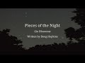 Pieces of the Night - Gin Blossoms (Lyric Video)