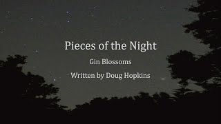 Pieces of the Night - Gin Blossoms (Lyric Video)