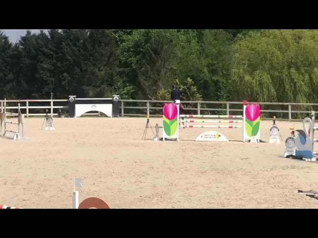 Excellent cheval très concours 130 