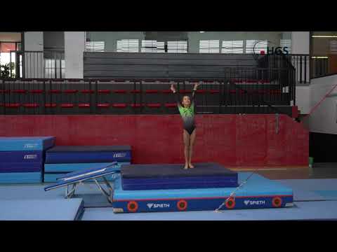 Osnovni program 1 - Kadetkinje i starije kadetkinje PRESKOK PREDNOŽNO RAZNOŽNI SKOK